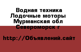 Водная техника Лодочные моторы. Мурманская обл.,Североморск г.